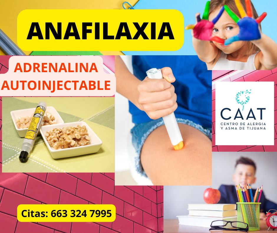 Claudia Ivonne Gallego Corella-0