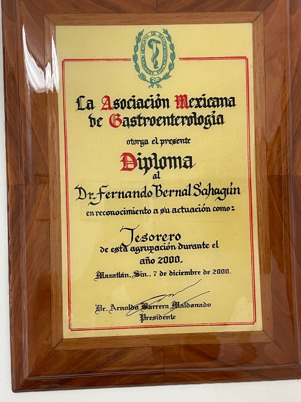 Fernando Bernal Sahagún-3