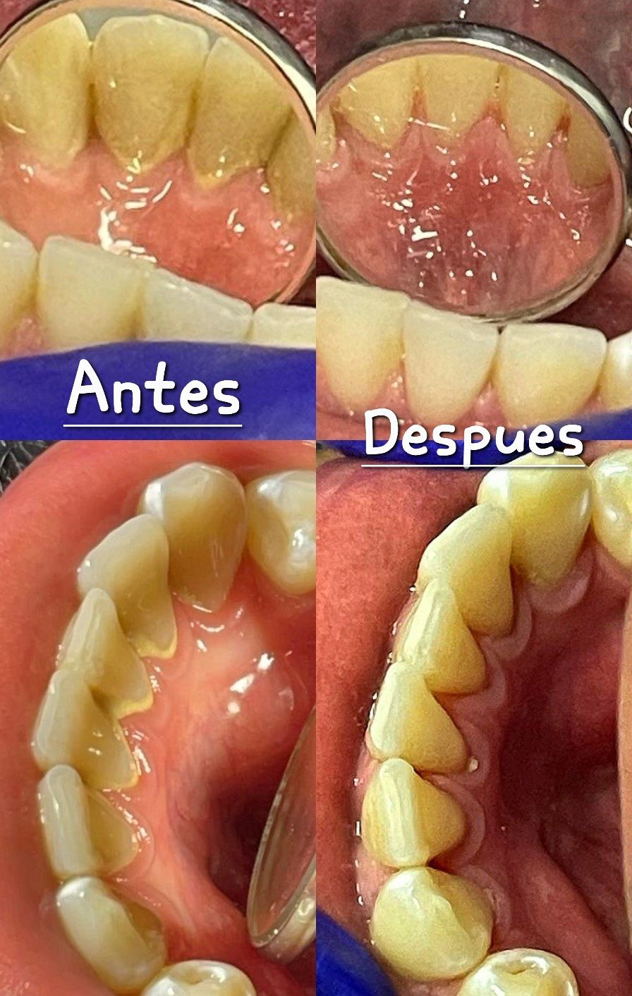 Fabiola Arcos Huesca-17