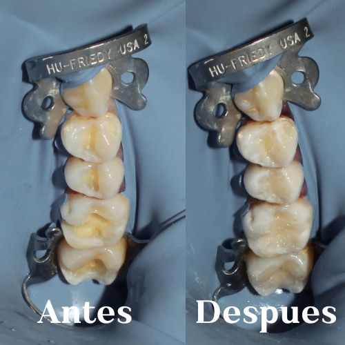 Michel Flores Flores-1