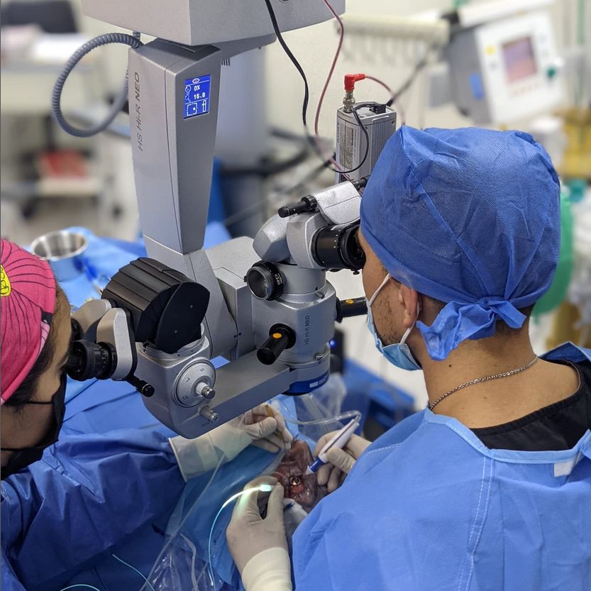 Alberto Morales Cedeño-2