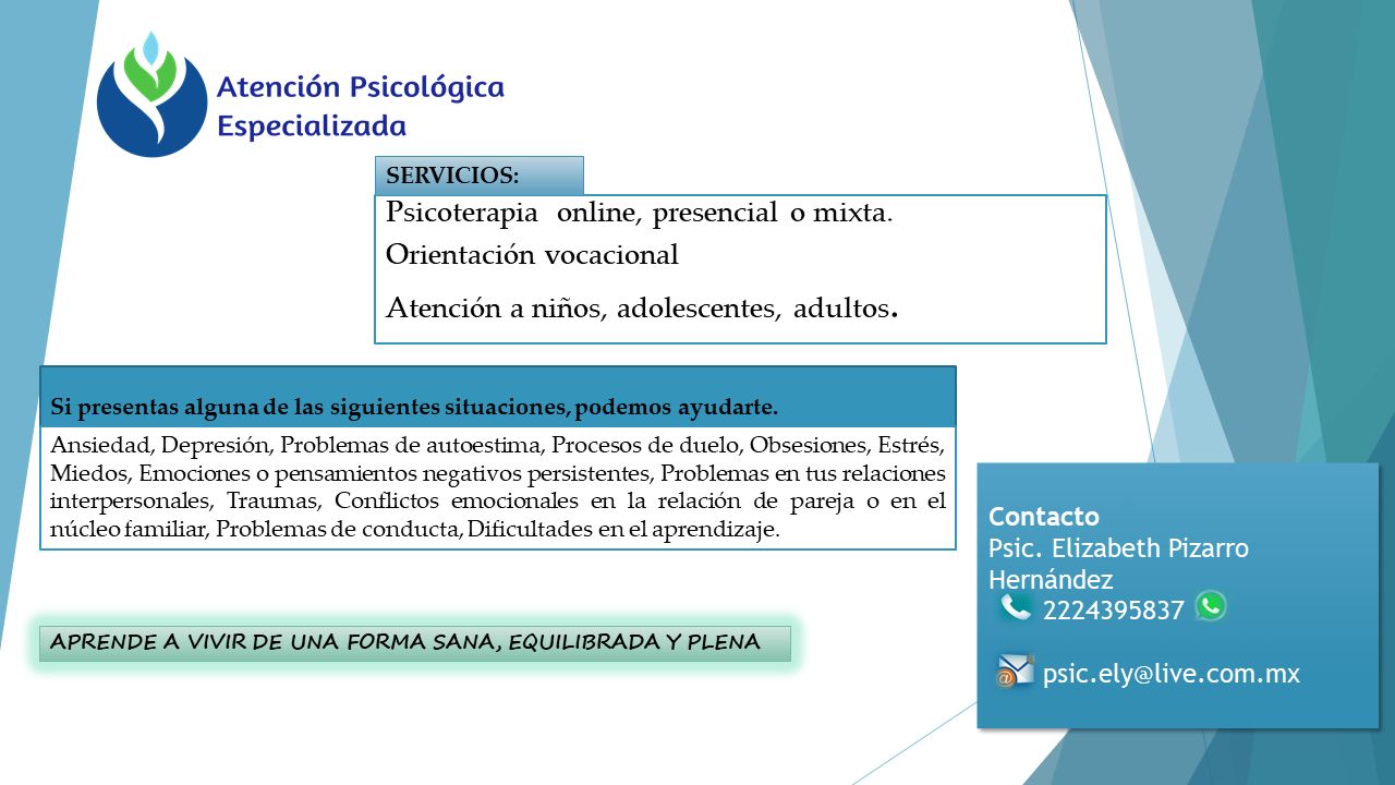 Elizabeth Pizarro Hernández-6