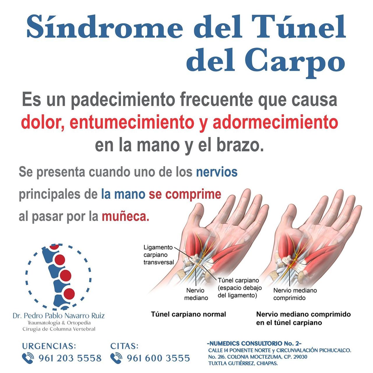 Pedro Pablo Navarro Ruiz-3