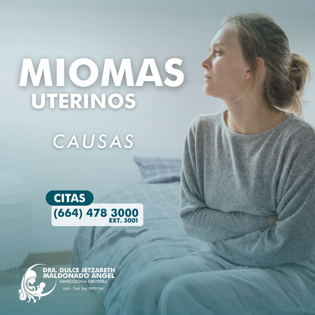 Dulce Jetzabeth Maldonado Angel-11