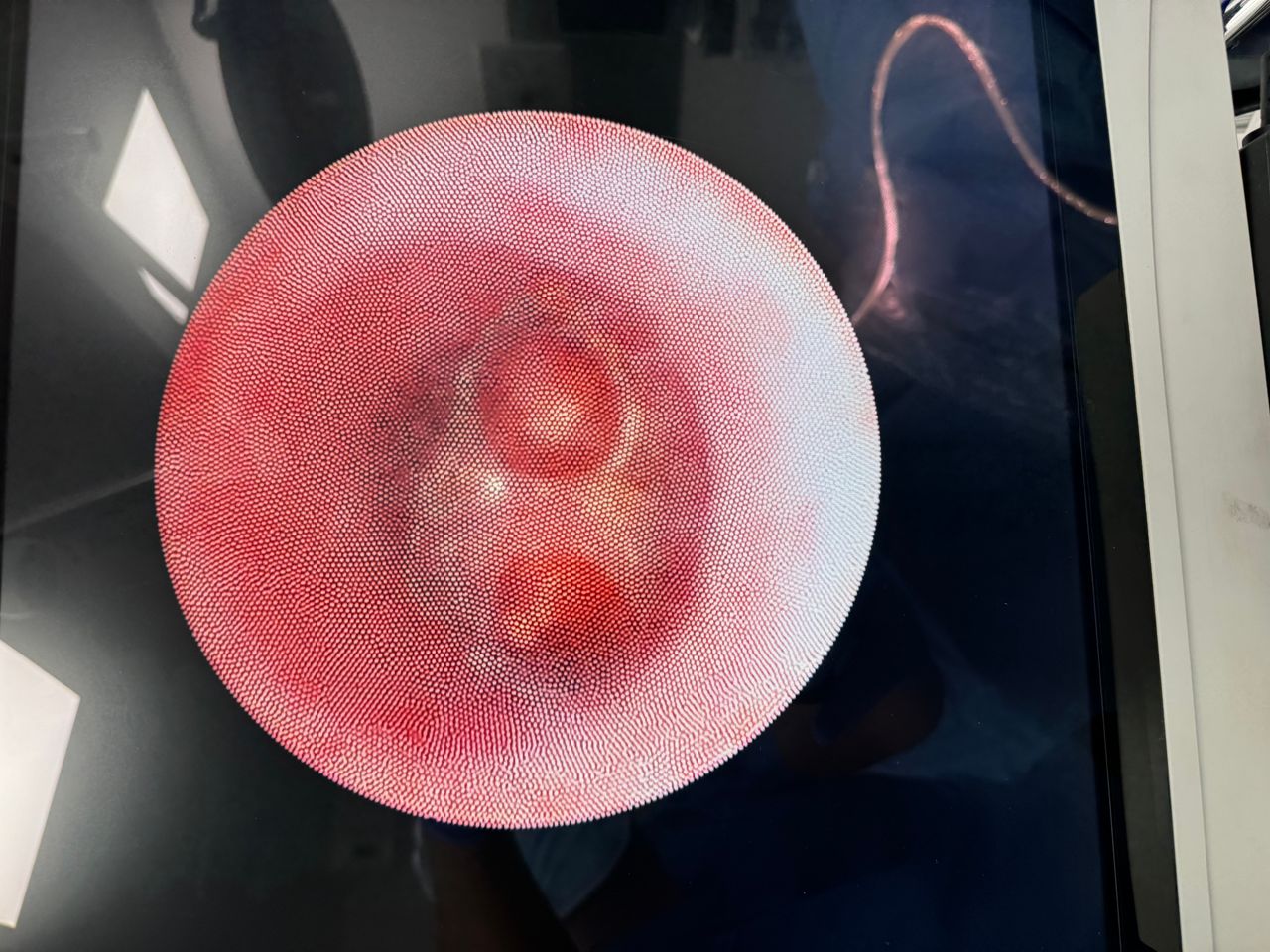 Vicente Enrique De Jesús Cano Pérez-0