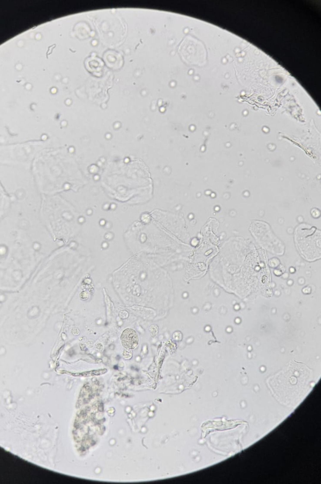 Gonzalo Anuar Montalvo Dominguez-3