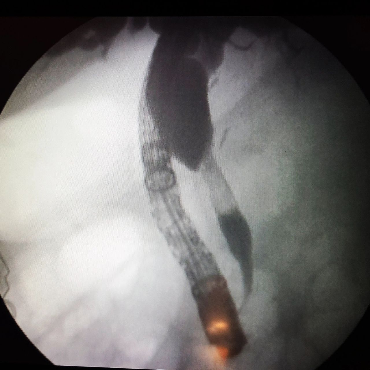 Edgar Alan De León Rojas-19