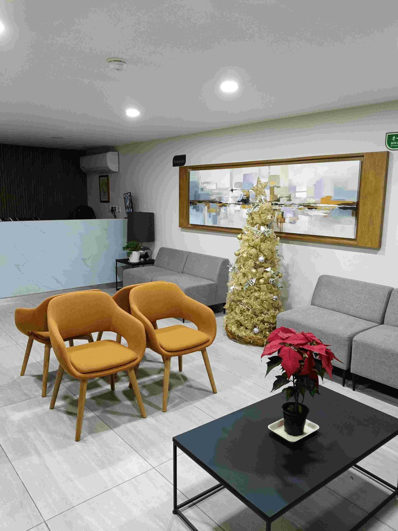 Vicente Xavier Garcia Torres-0