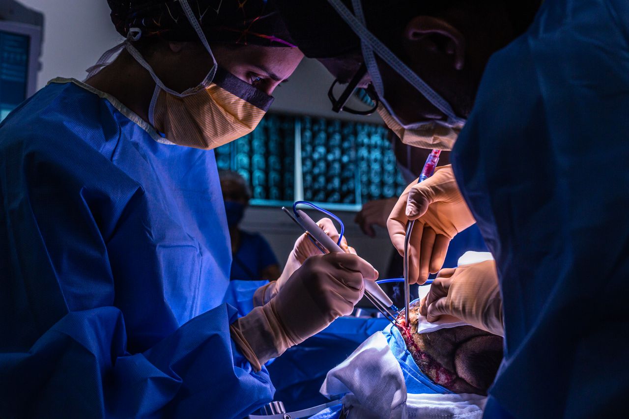 Celia Teresa De Jesús Álvarez Gamiño-6