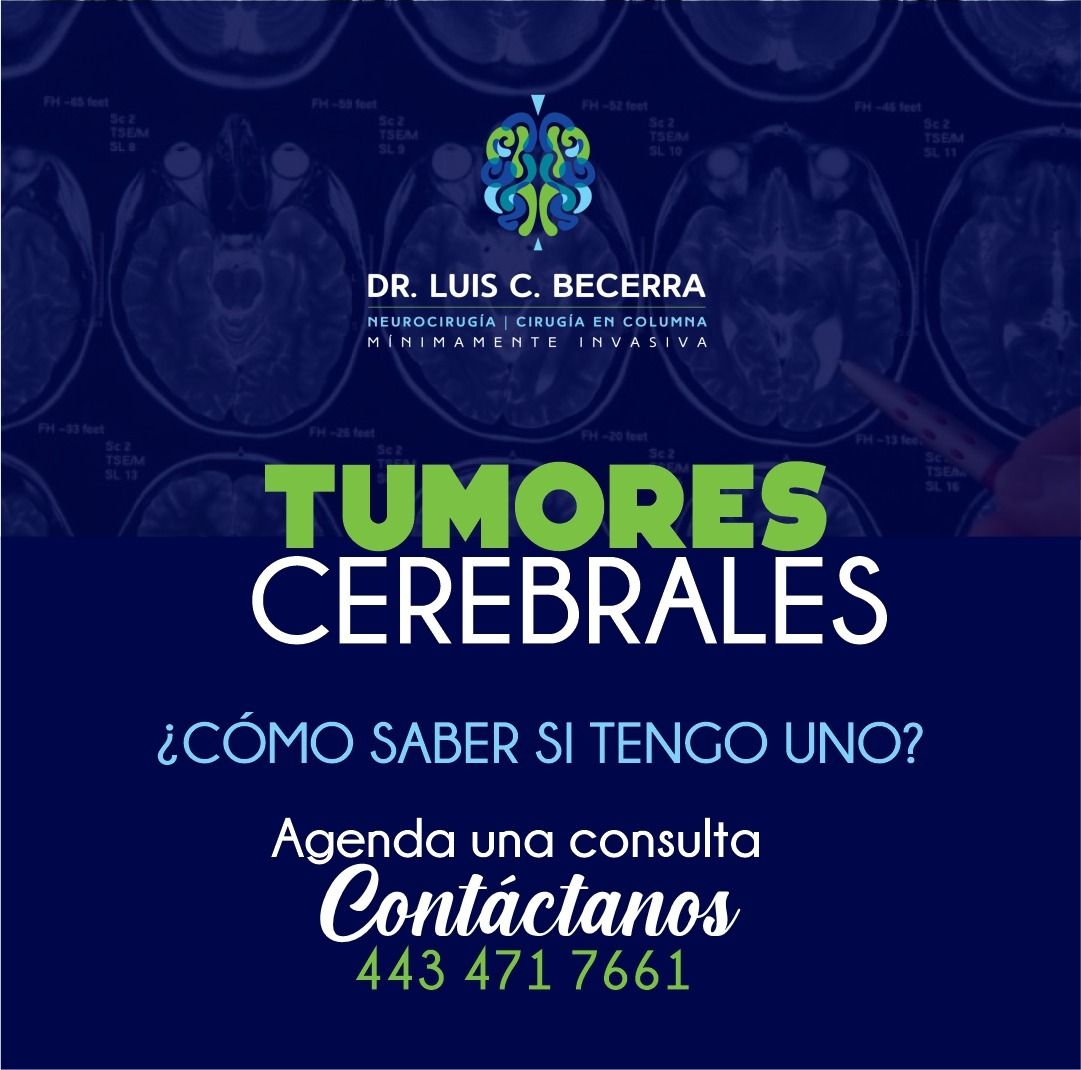 Luis C Becerra-6