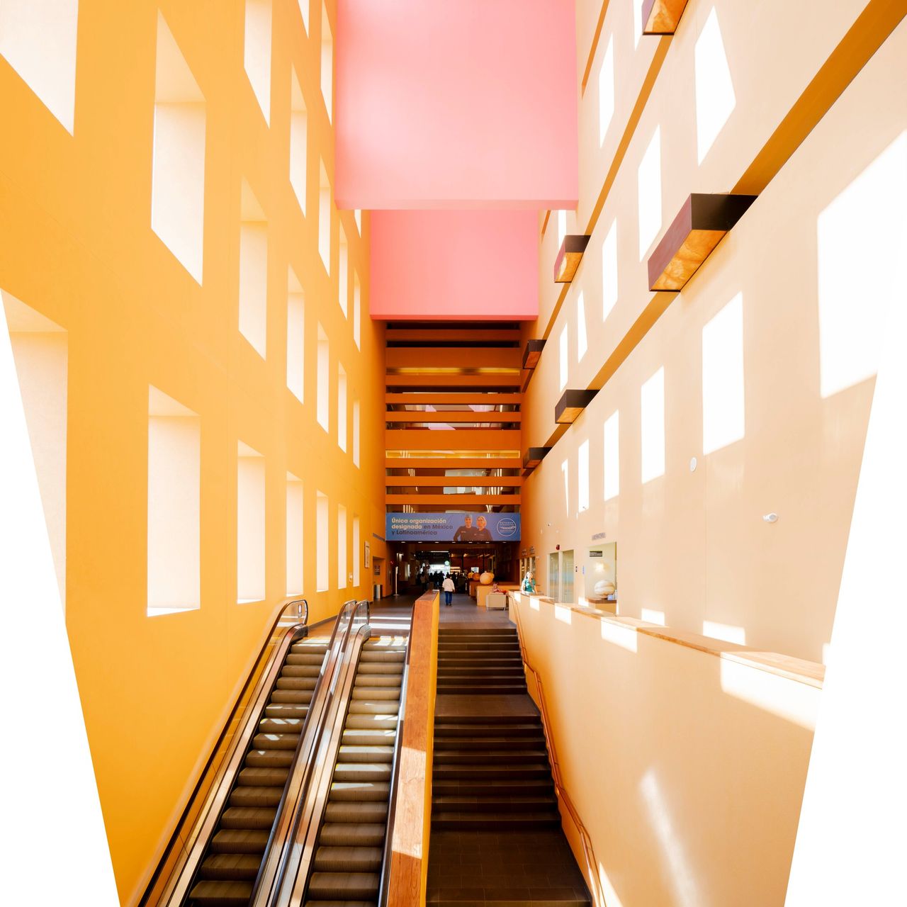 Luis Carlos Pérez Plata-4