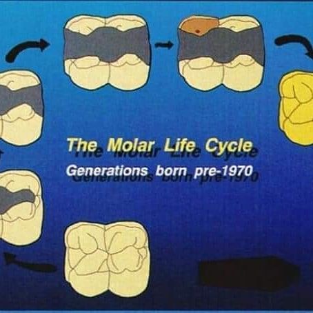 Luis Fernando Galicia Chacón-20