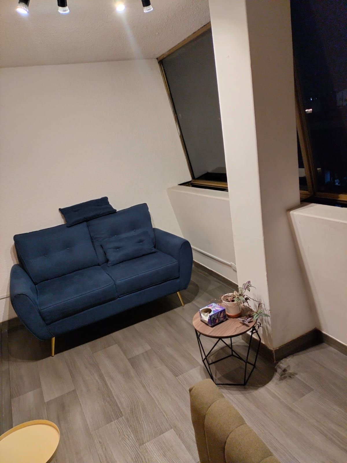 Diana Laura Gómez Ramos-1