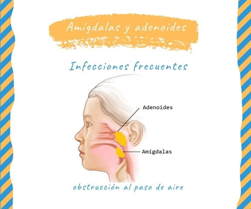 Dayanira Trinidad Guerrero-4