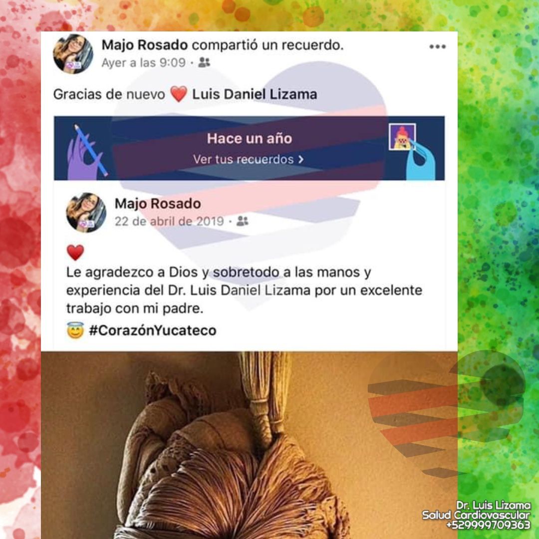 Luis Daniel Lizama Rodrí­guez-8