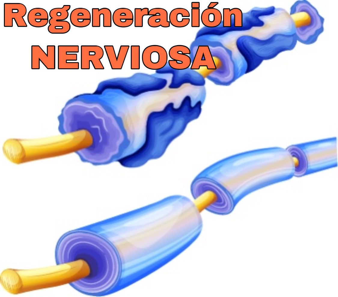 Doris Aline Parra Vitela-4