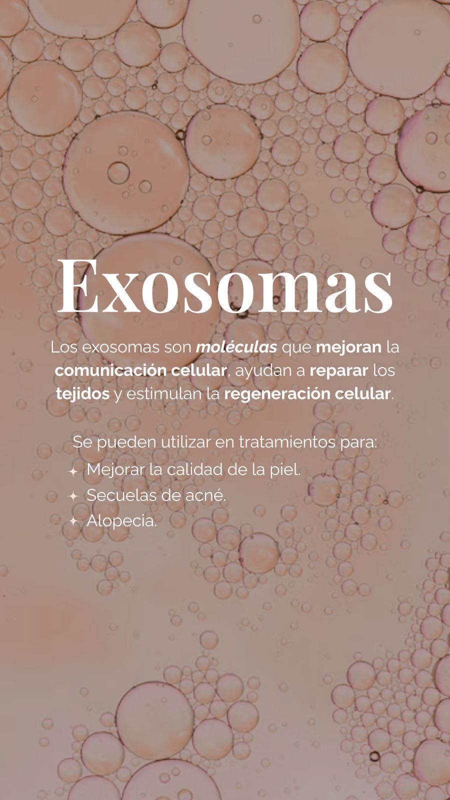 Brenda Valdes Vargas-5