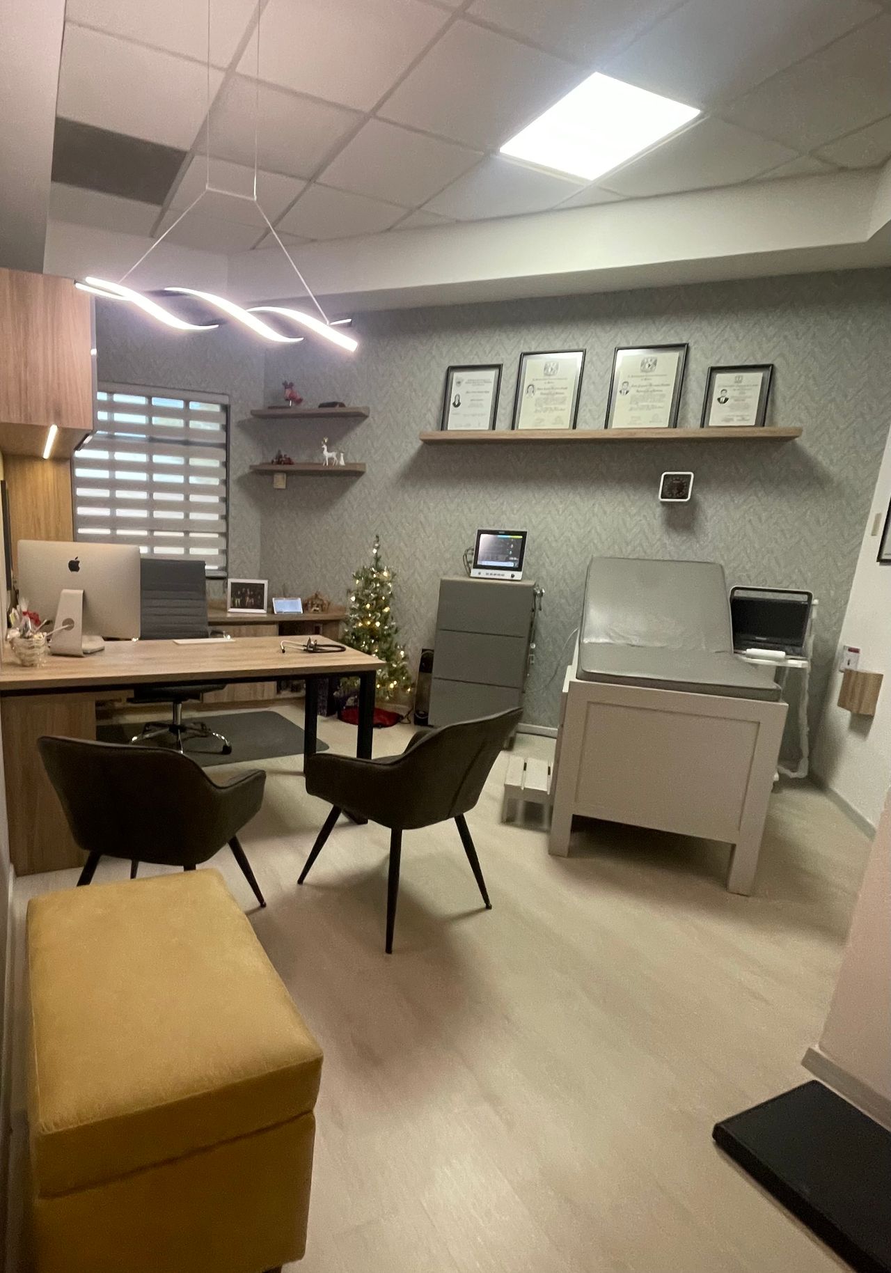 Alejandro Hernández González-4