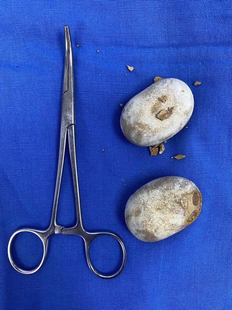 Alejandro Garza Martinez-16