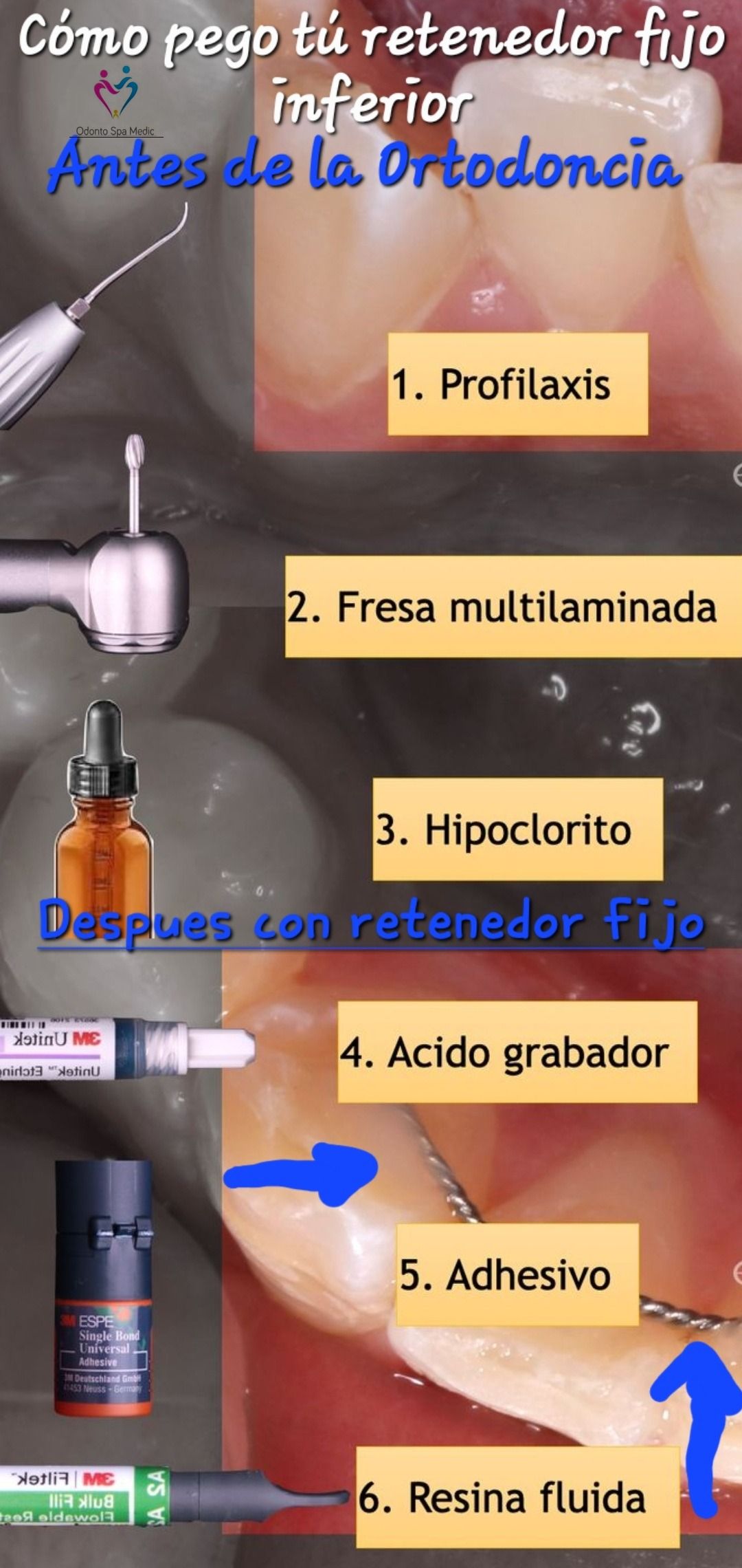 Fabiola Arcos Huesca-28