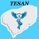 Terapias en Salud Natural (TESAN) Yucatan