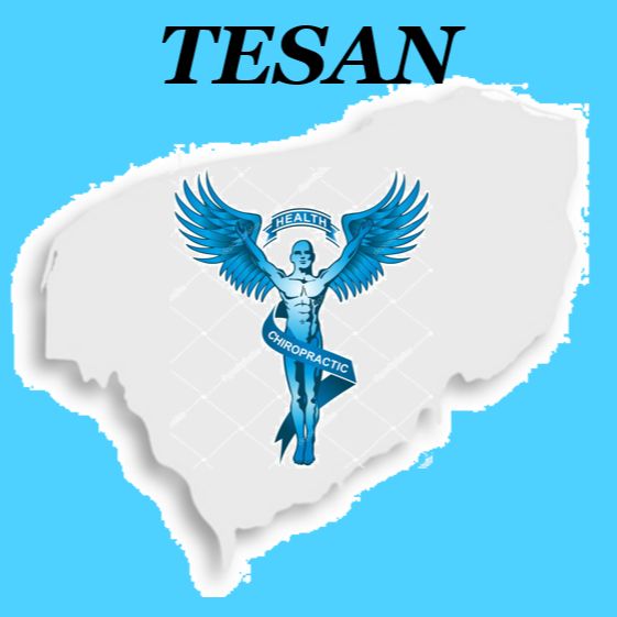 Tesan YucatanMérida - 