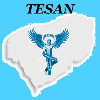 Terapias en Salud Natural (TESAN) Yucatan