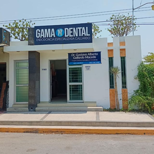 Gama Dental Endodoncia Especializada GallardoApatzingan - 