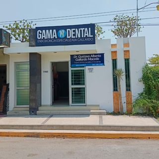 Gama Dental Endodoncia Especializada Gallardo