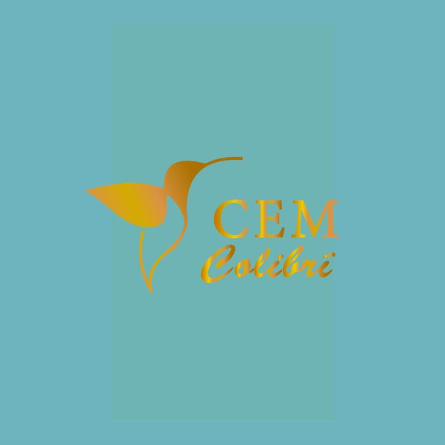 CEM COLIBRINicolás Romero - 