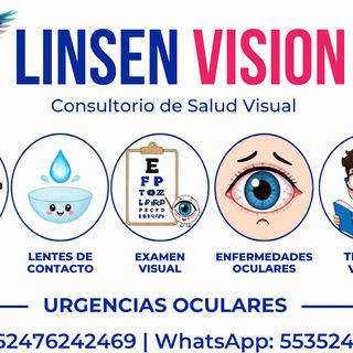 LINSEN VISION