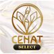 Centro de Nutricion y Atención Integral CENAT logo