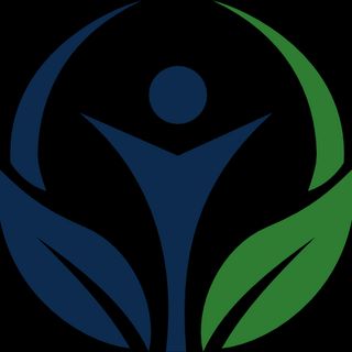 IDESI -Instituto de Desarrollo Emocional y Salud Integral