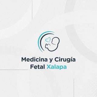Medicina y Cirugia Fetal XalapaXalapa - 