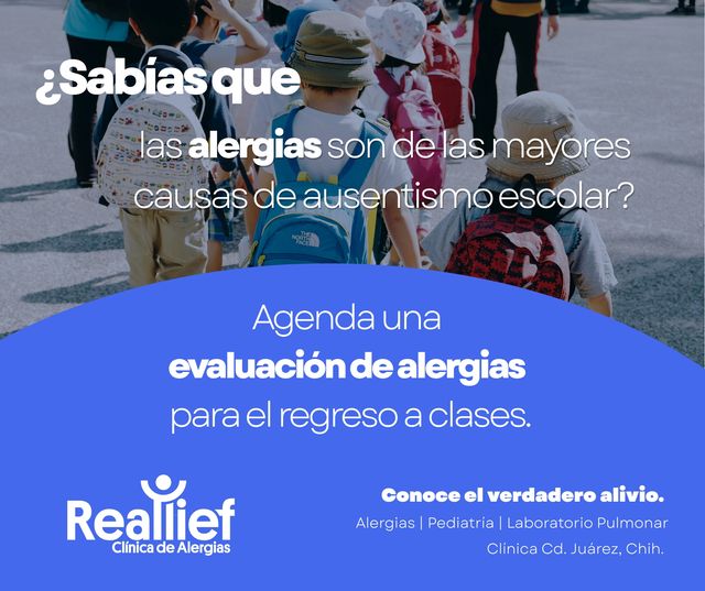 Ampliar imagen: 