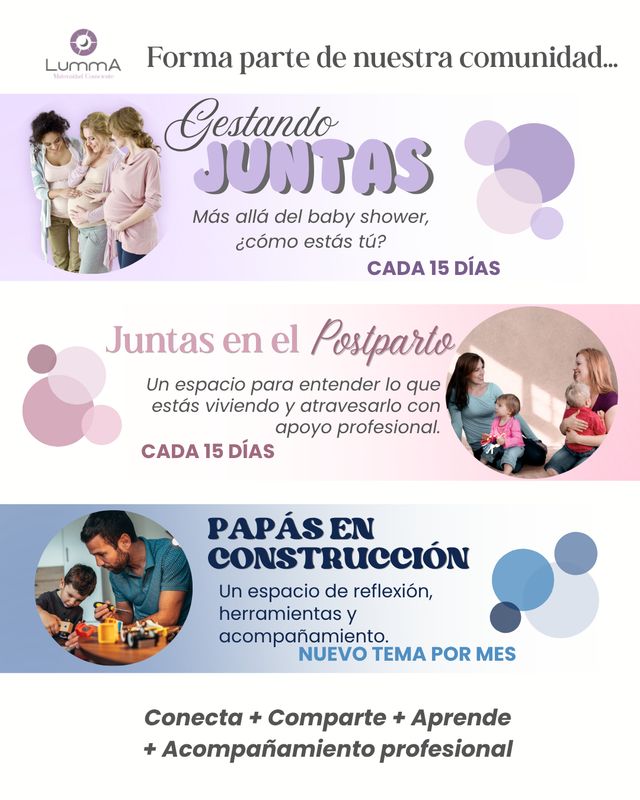 Ampliar imagen: 
