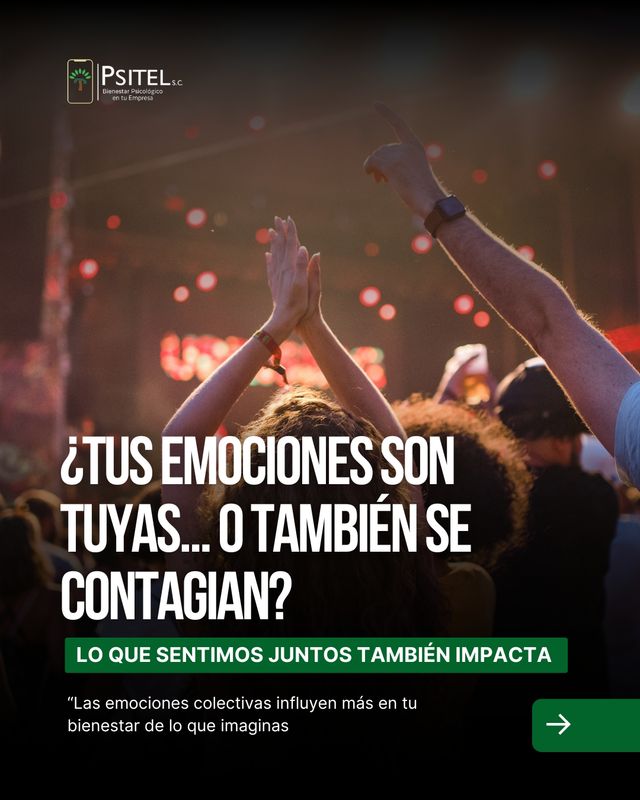 Ampliar imagen: 