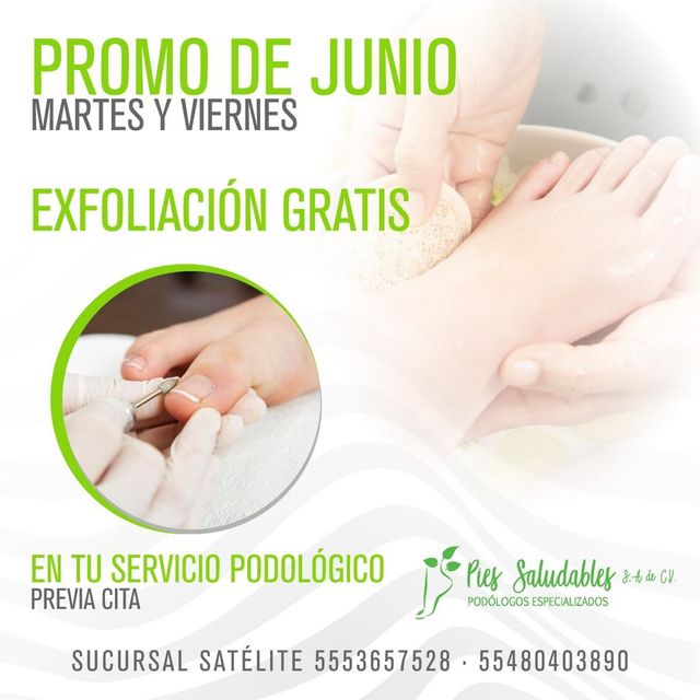 Ampliar imagen: 