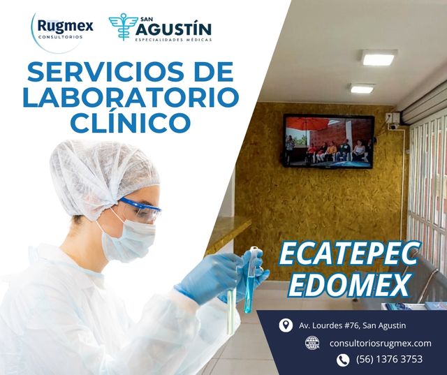 Ampliar imagen: 
