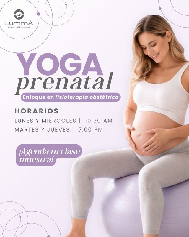 Ampliar imagen: 