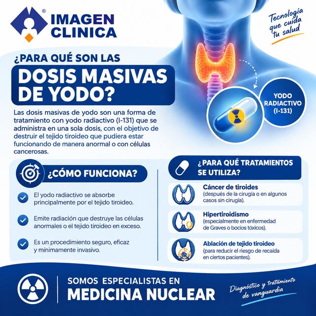 Ampliar imagen: 