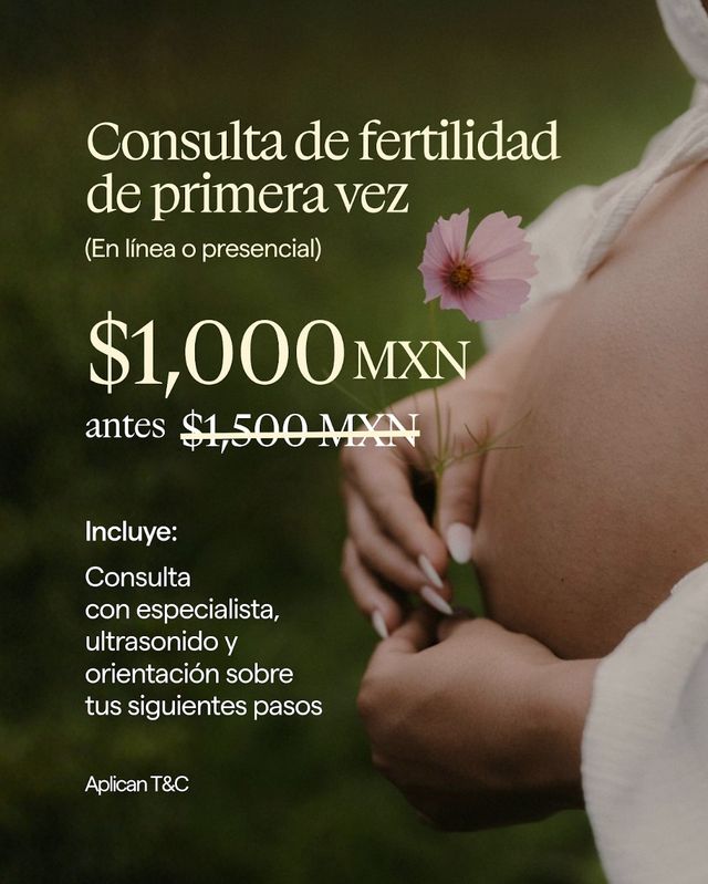 Ampliar imagen: 