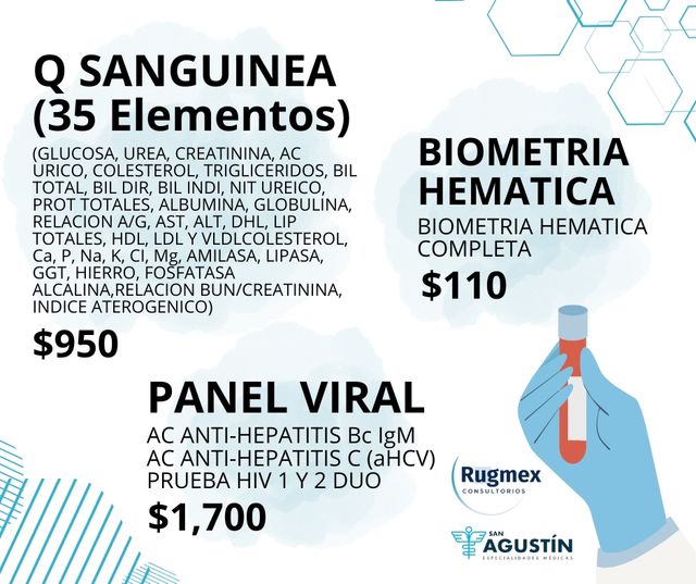 Ampliar imagen: 
