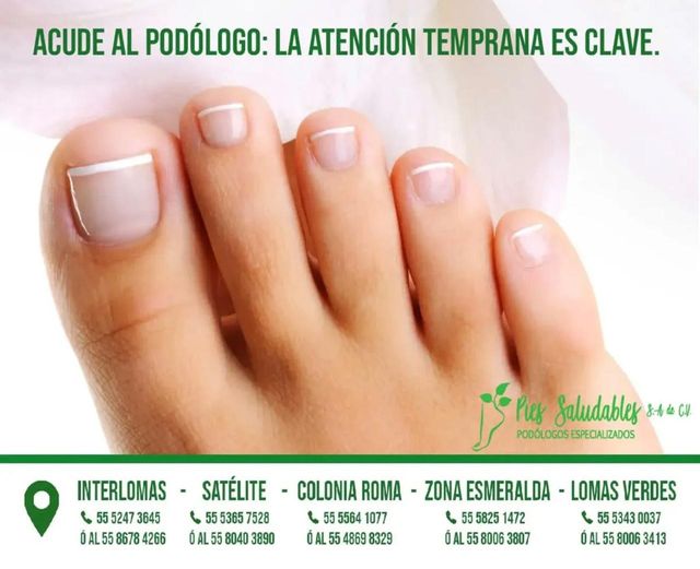 Ampliar imagen: 
