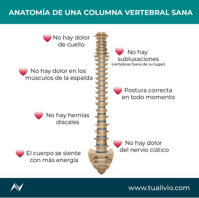 Ampliar imagen: 