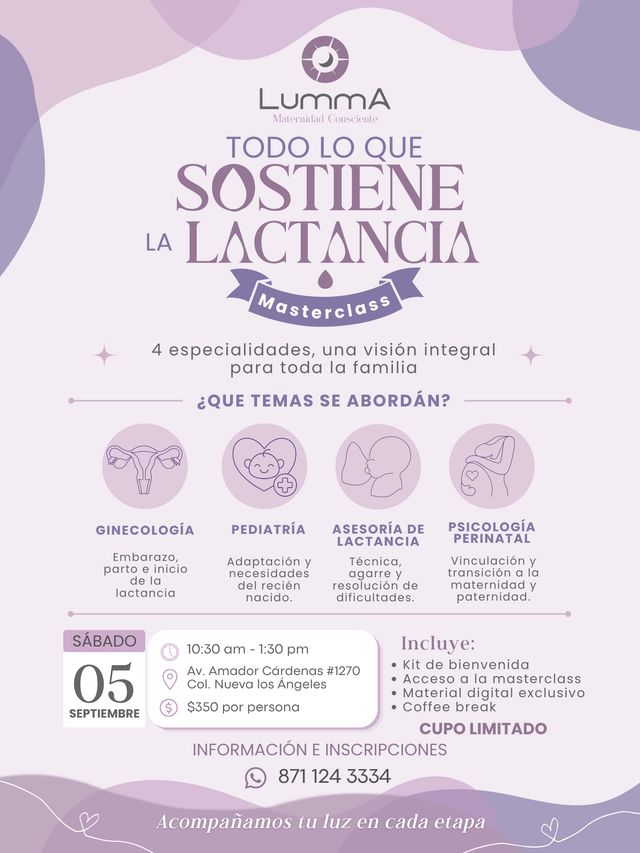Ampliar imagen: 