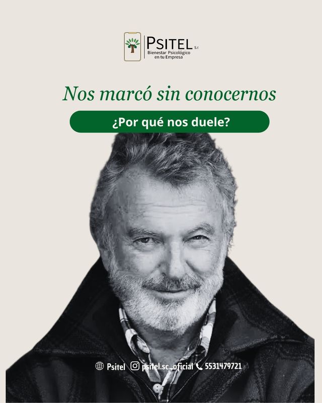Ampliar imagen: 