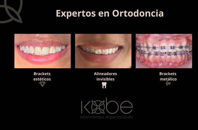 Ampliar imagen: 