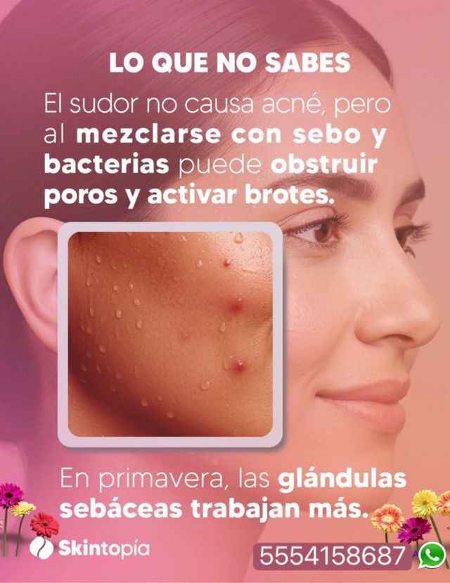 Ampliar imagen: 
